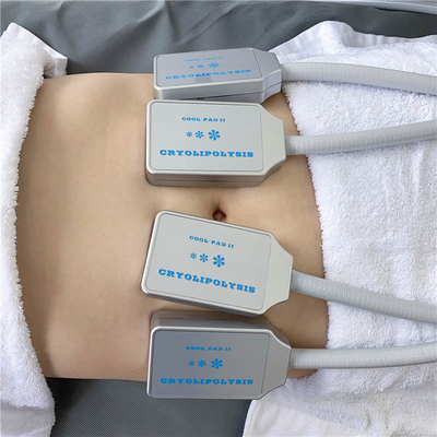 4개의 손잡이 30Hz 체중을 줄이는 몸을 위한 Cryolipolysis EMS 기계