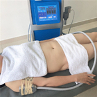 4개의 차가운 패드 Cryolipolysis 휴대용 뚱뚱한 어는 기압 치료 기계, 기계를 체중을 줄이는 비침습적 몸