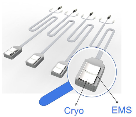 EMS 근육을 가진 20Hz Cryolipolysis 지방 어는 기계는 자극합니다