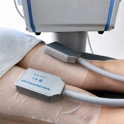 EMS 근육을 가진 20Hz Cryolipolysis 지방 어는 기계는 자극합니다