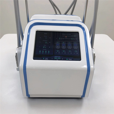 100V 4개의 애플리케이터 Cryolipolysis 지방 동결 슬리밍 기계