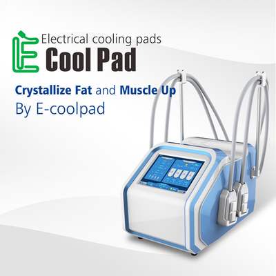 4개의 손잡이 30Hz 체중을 줄이는 몸을 위한 Cryolipolysis EMS 기계