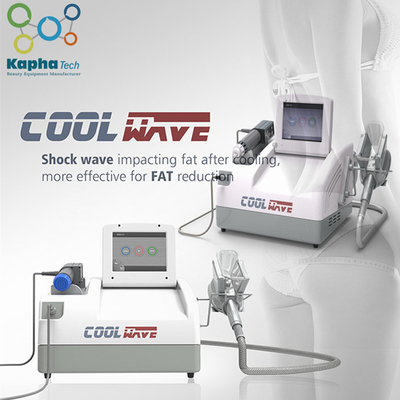 몸 모양을 위한 기계를 체중을 줄이는 충격파 치료 차가운 Cryolipolysis 뚱뚱한