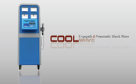 이중 기압 충격파 치료 기계 지방은 기계 체중을 줄이는 냉동 요법을 감소시킵니다