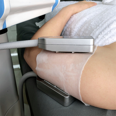 100V 4개의 애플리케이터 Cryolipolysis 지방 동결 슬리밍 기계