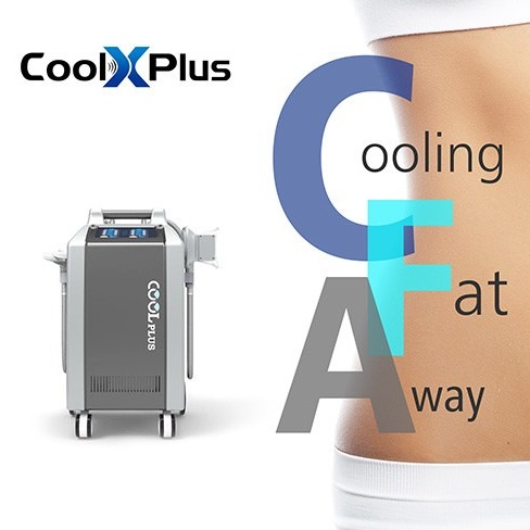 뚱뚱한 어는 Cryolipolysis Cryo 기계 Wich 두 배 360도 손잡이