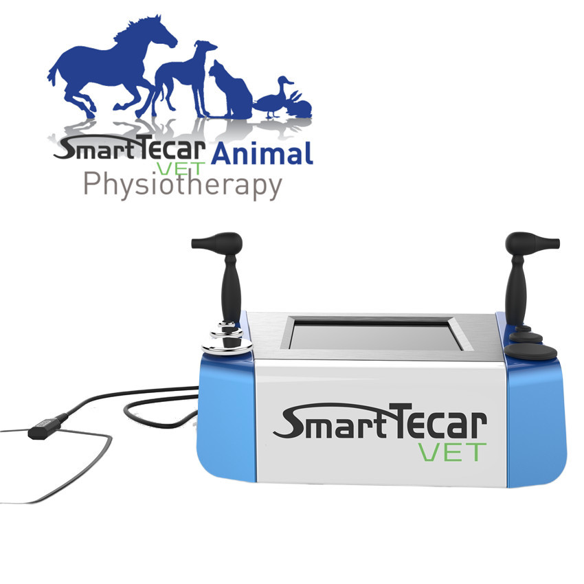 애완 말 개 고양이들 통증 완화를 위한 가지고 다닐 수 있는 수의학 물리치료 테카르 요법 기계